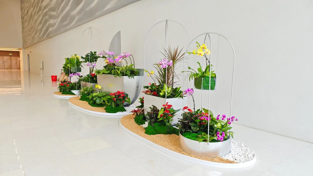 ��ҳ- ABGŷ�����Ź�����¼���