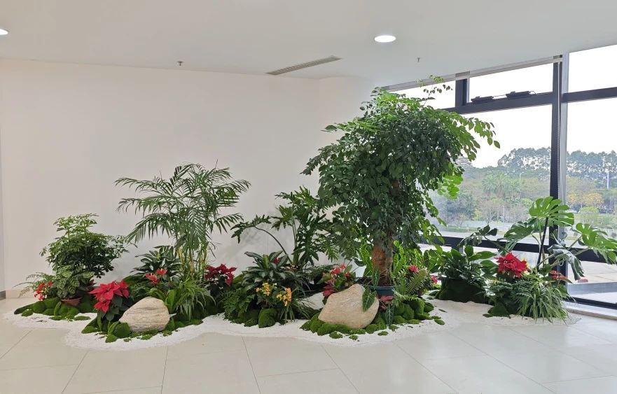 ��ҳ- ABGŷ�����Ź�����¼���