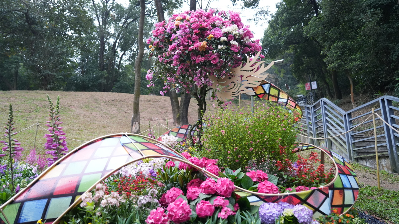 ��ҳ- ABGŷ�����Ź�����¼���