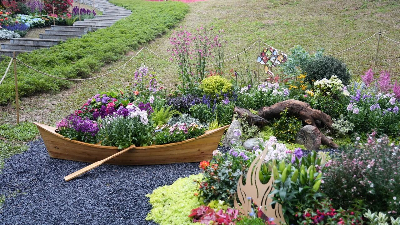 ��ҳ- ABGŷ�����Ź�����¼���