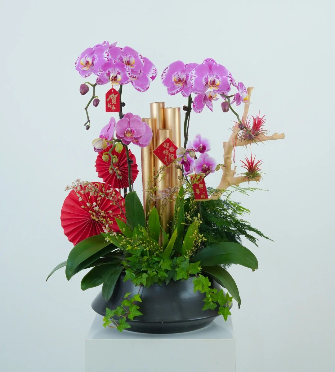 ��ҳ- ABGŷ�����Ź�����¼���