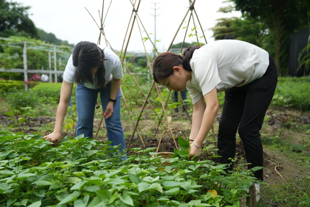 ��ҳ- ABGŷ�����Ź�����¼���