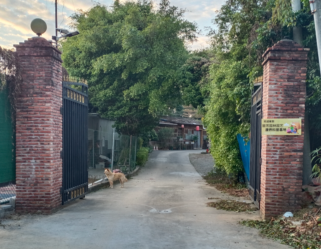 ��ҳ- ABGŷ�����Ź�����¼���