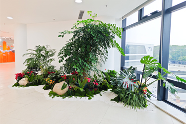 ��ҳ- ABGŷ�����Ź�����¼���