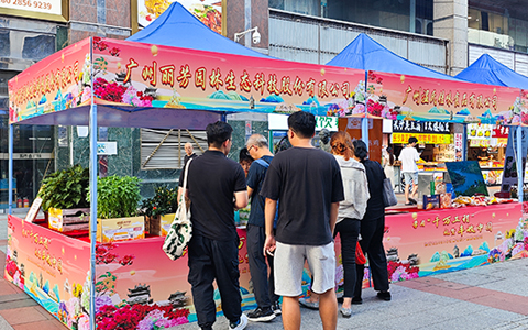 ��ҳ- ABGŷ�����Ź�����¼���