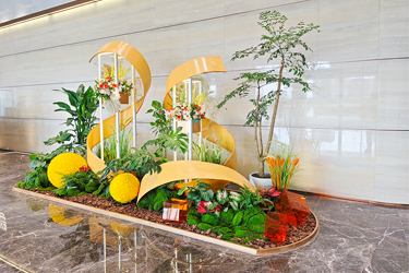 ABGŷ������԰����ֲ��ڡ������ƽ�ش���