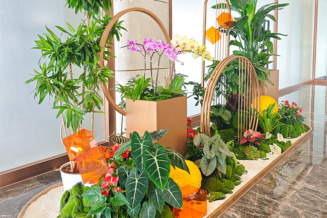 ABGŷ������԰����ֲ��ڡ������ƽ�ش���