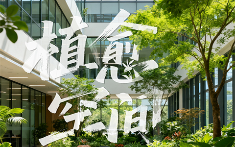 ϲѶ����ֲ��APP���ٻ��пƹݡ�����֮������Ϊ���ܴ�����������������½�