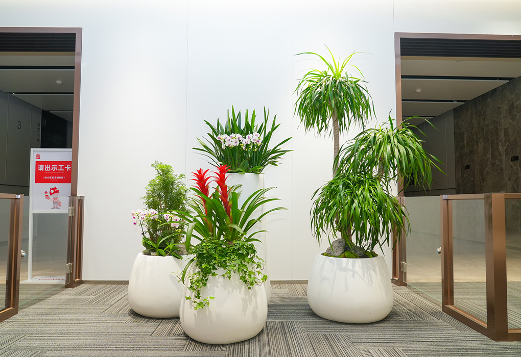 ������Ʒ������ֲ���