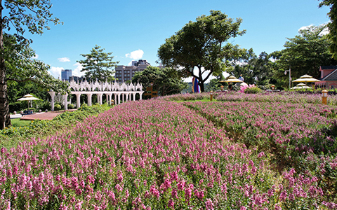 ABGŷ������԰�ּӿ�ȫ��ս������ ��ʡ����������ɫ�����±��