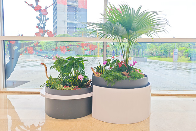 ��Ϊ�Ϸ�����԰���̻�����