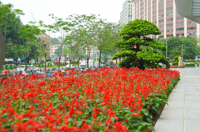 ����Խ����ʻ��������̻�����