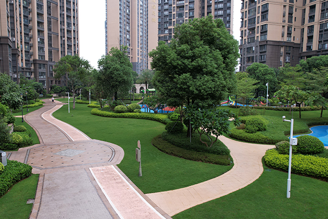 �����̻�����