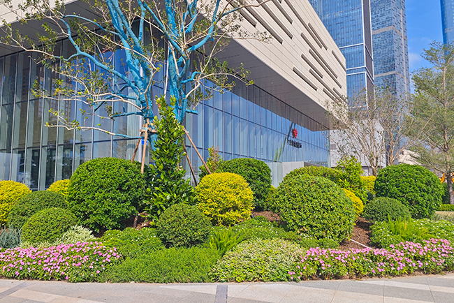 �̳��ұ��̻�����