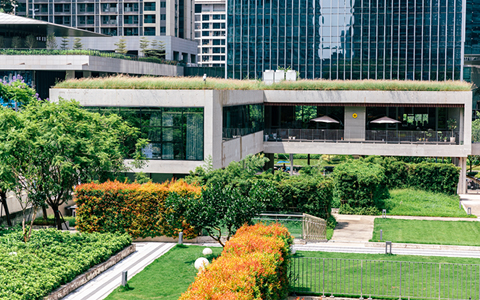 �̻��������� | ��������Ƴ���ƹ�����������������Ȼ