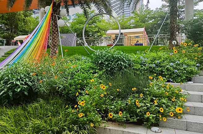 ��������Ƴ���ƹ���ֲ��������̻�����